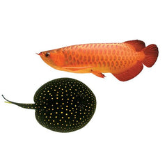 Ocean Free "O" Anchor Worm and Fish Lice 125ml