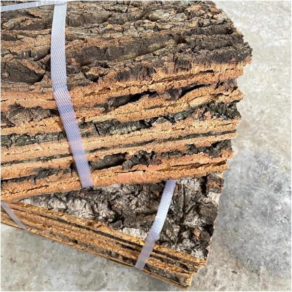 Terrarium Cork Bark Background Board, Reptile Tank Tree Decor