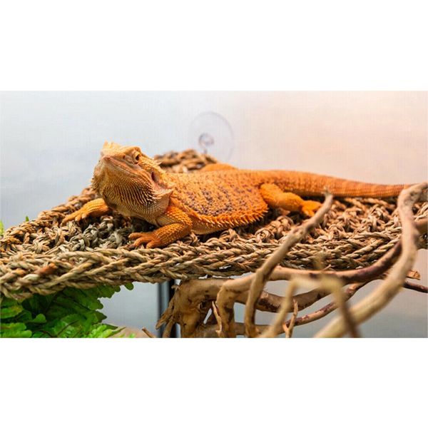 Natural Triangle Lizard Lounger Bearded Dragon Hammock Reptile Hammock top