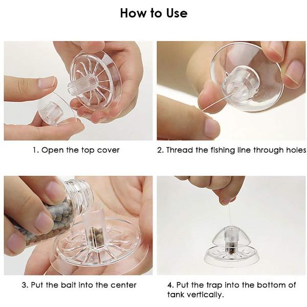 Clear Snail Trap for Planarian Leech