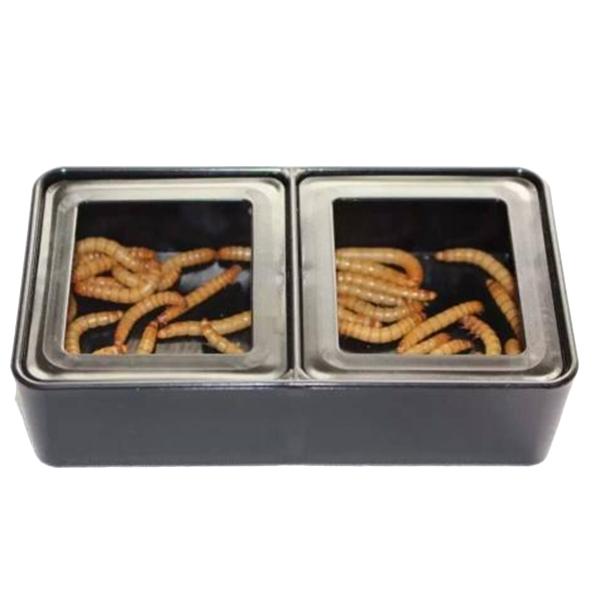 Feeding Box 2 in 1 Mini Plastic Reptile Food and Worm Dish Feeding