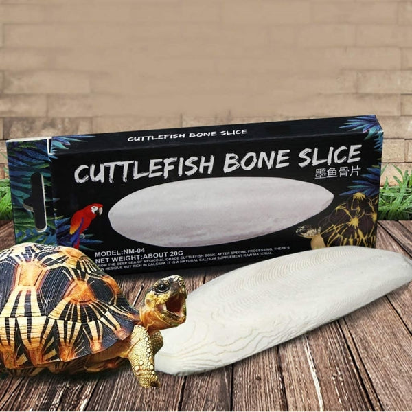 Reptile Health Release Mineral Cuttlefish Bone for Aquatic Turtle Bird Feed Cuttlebone Block Calcium Supplement