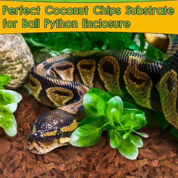 Coconut Husk for Reptiles Bedding Coco Coir Chips Terrarium Substrate 70g