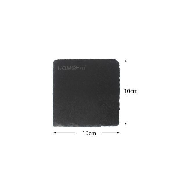 Turtle Reptile Rock Nail Grinding Plate