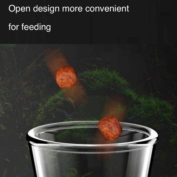 Shrimp Feeding Tube and Dish Clear Glass Feeder