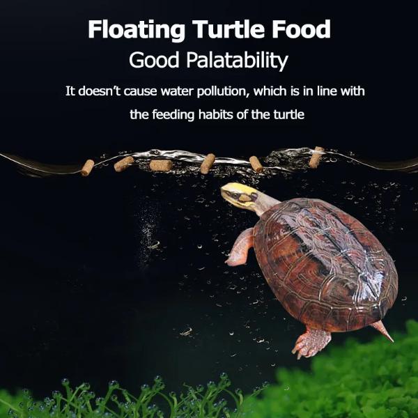 YEE Turtle Nutritional Balance Rich in Proteins