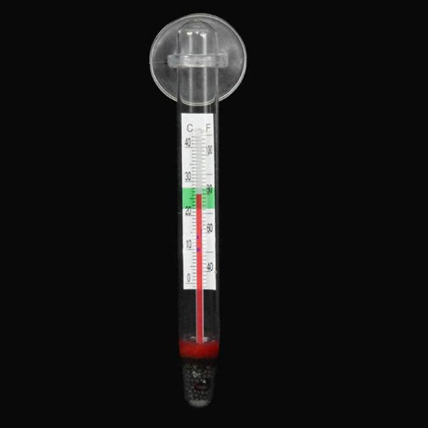 Short Glass Thermometer