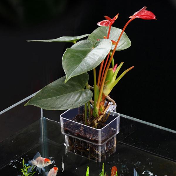 Hanging Aquatic Plant Holder 8x8x5.7cm