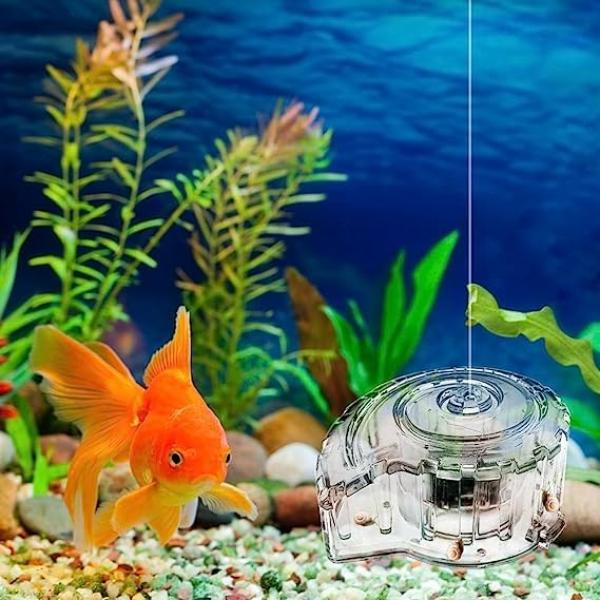 Dophin Snail Catcher Safe for Shrimp and Fish