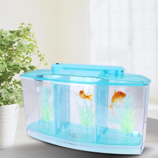 Isolation Acrylic Small Aquarium with 2 Color Lighting
