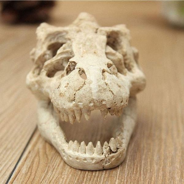 dinasour skull 8.5x5.5X4.5cm