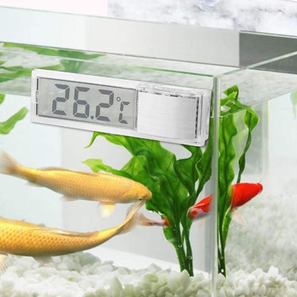 3D Perspective LCD Digital Thermometer Aquarium and Ambient