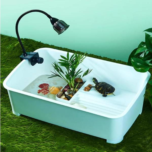 Turtle Tank Reptile Tortoise Habitat