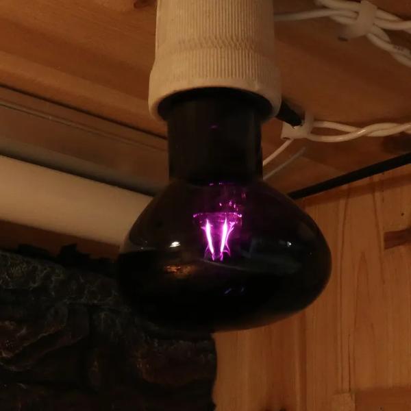 Nomoypet Heating Halogen Light (75&100W)
