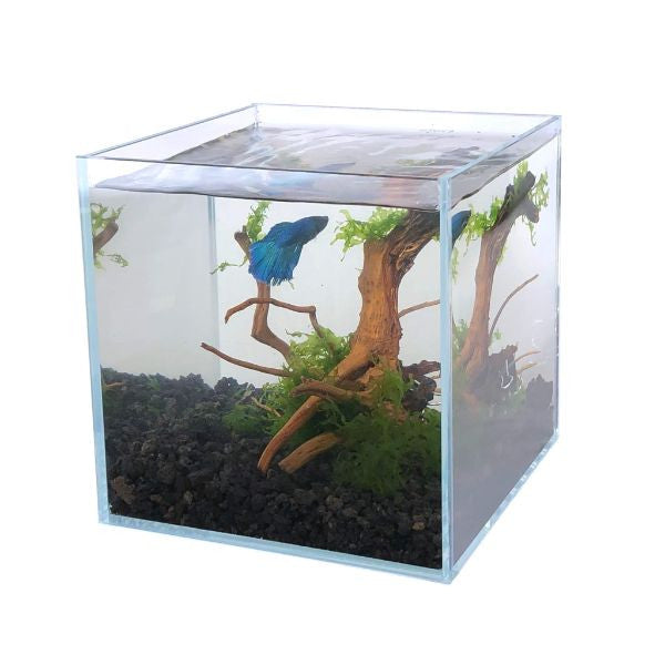 Clear Glass Aquarium Cube Fish Tank 3 Sizes