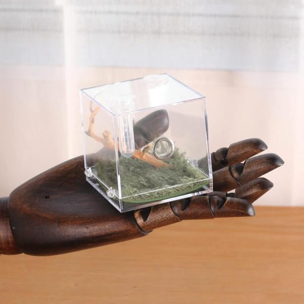 Spider Micro Big Habitat Small Pet Insect Breeding Box 360 Degree High Transparent