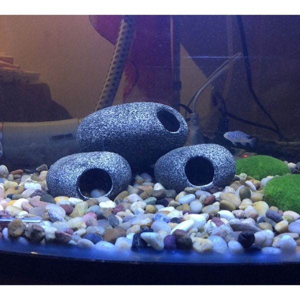 Shrimp Cichlid Betta Natural Breeding Hiding Cave Stones