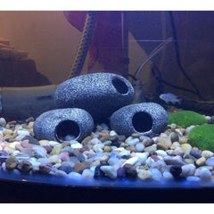 Shrimp Cichlid Betta Natural Breeding Hiding Cave Stones