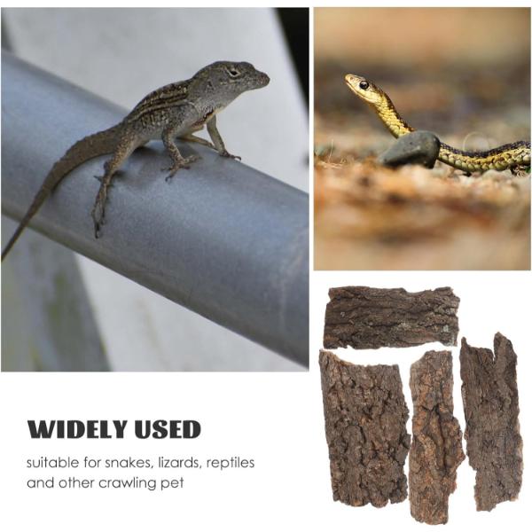 B&K Reptile Bark Gecko Backdrop Wooden Driftwood
