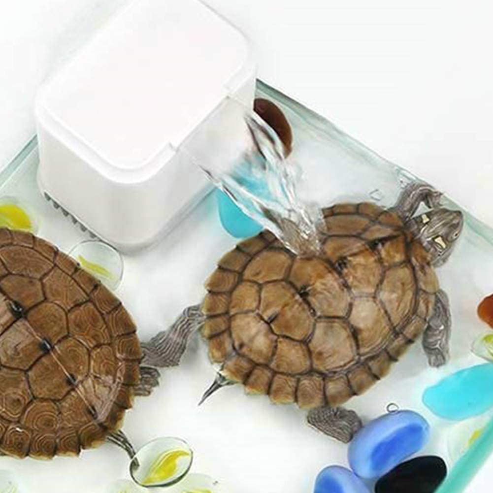 Aquarium Turtle Water Filter Pump 2W Low Position to Run Water and Mini 3 in 1 Shallow Fountain Waterfall Maker for Tortoise Tank