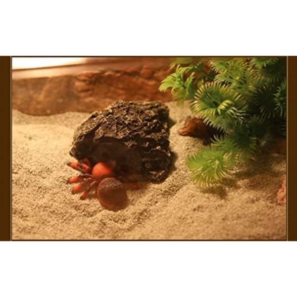 Nomoy Reptile Sand 1.8KG Terrarium Calcium Sand Suitable for Turtles, Geckos, Beard Dragons
