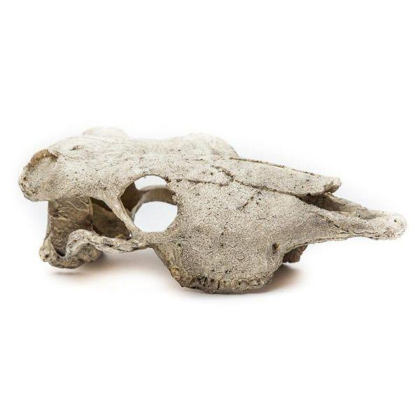 NOMOYPET Exotic Reptile Hide Landscape Skull Bone