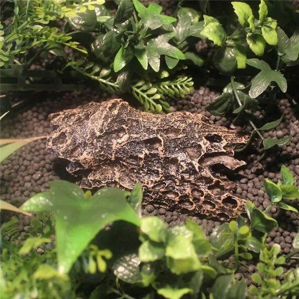Resin Dark Decoration Nomoy Environmental Protection Suitable for Reptile Small Animals NS-110