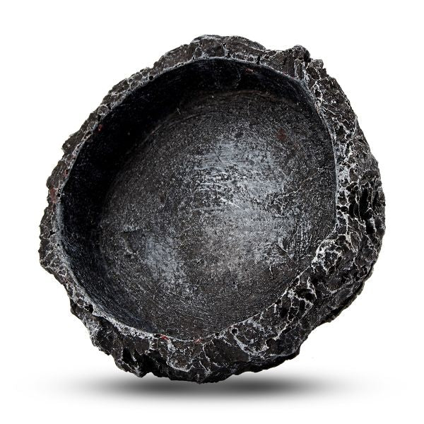 Reptile Feeding Bowl Food Water Terrarium Dish Pet Lizard Gecko Feeder