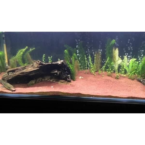 Premium Aquarium Sand Red 1 KG