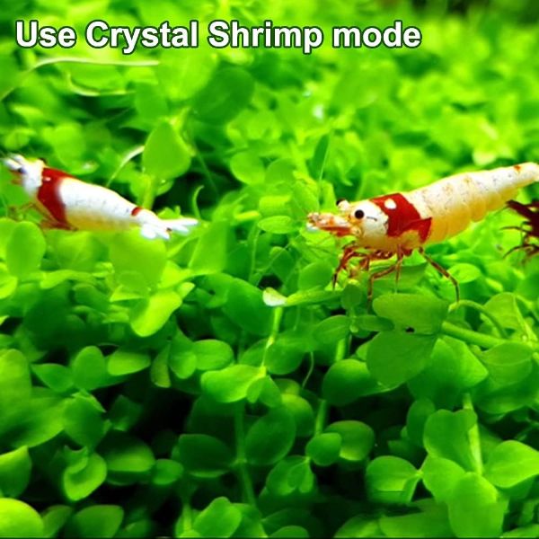 Doctor Aquarium Algae Cleaner Electronic