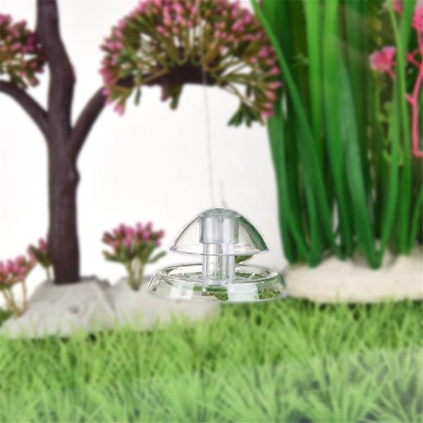 Clear Snail Trap for Planarian Leech