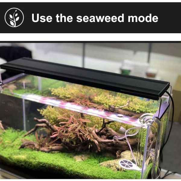 Doctor Aquarium Algae Cleaner Electronic