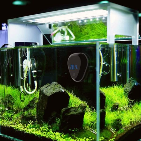 LED Digital Aquarium Thermometer