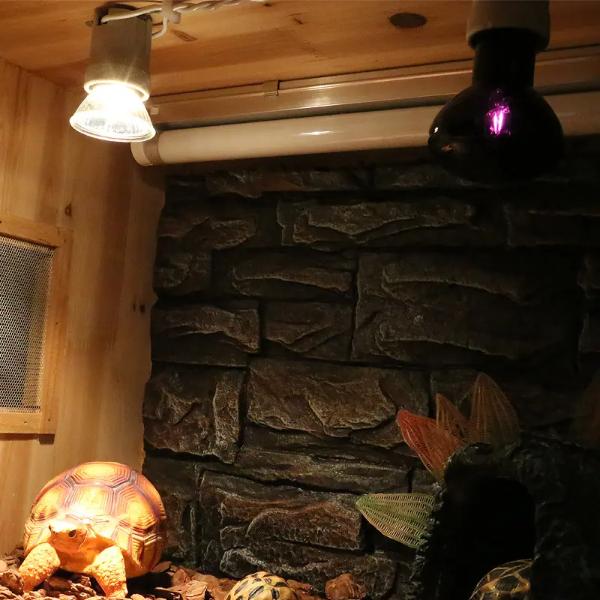 Nomoypet Heating Halogen Light (75&100W)