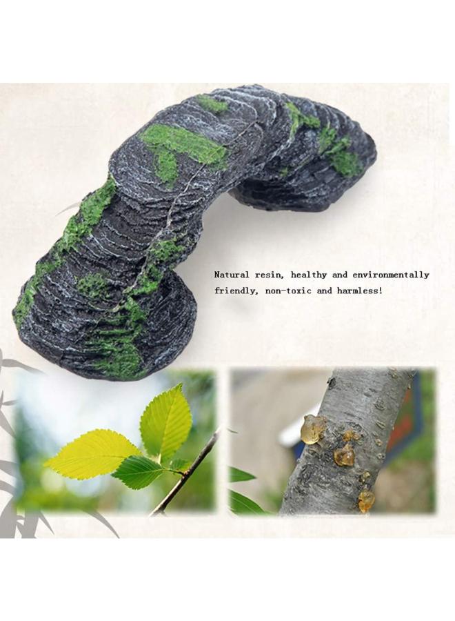 Turtle Hiding Stand Platform