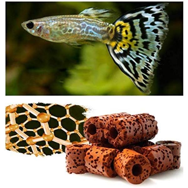 Aquarium Accessories Clear Water with Filter Net Bag 500g
