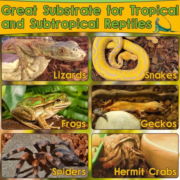 Coconut Husk for Reptiles Bedding Coco Coir Chips Terrarium Substrate 70g