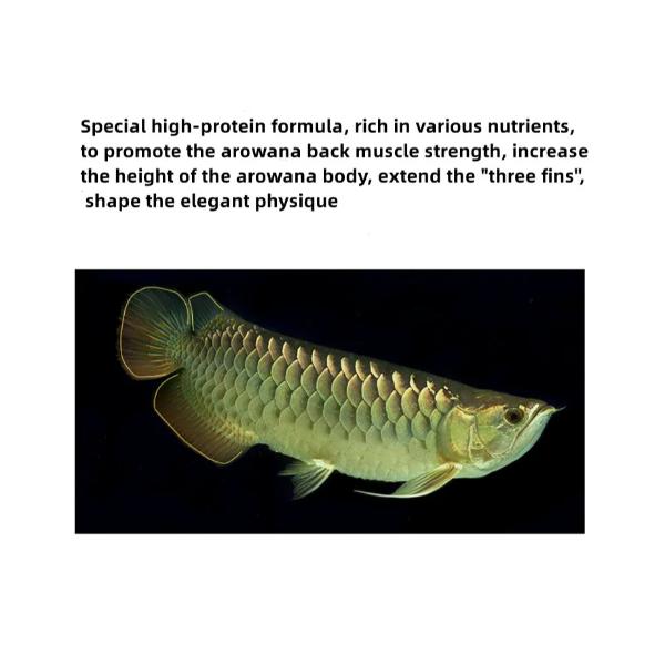 Porpoise Silver Arowana Fish Food 320g