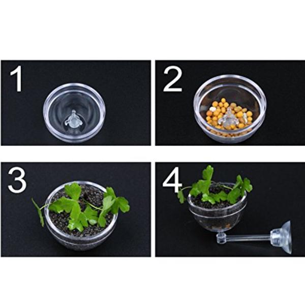 Aquatic Plant Pot Crystal Bowl Holder with Suction Cup for Aquarium Fish Tank Home Decorations
