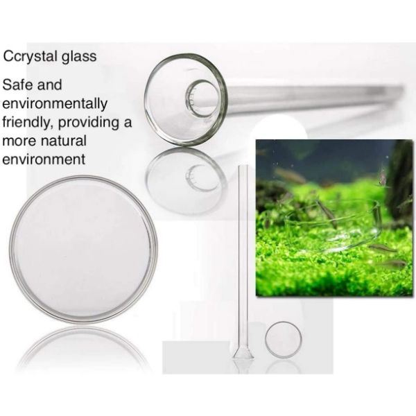 Shrimp Feeding Tube and Dish Clear Glass Feeder