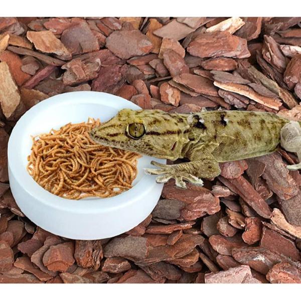 Smooth Ceramic Anti-Escape Worm Dish for Reptile Lizard Feeding Food Water Bowl