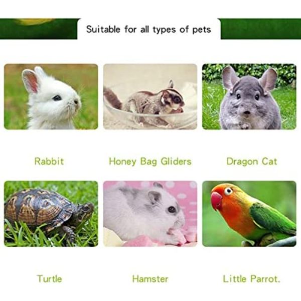 Winter Heating Reptile Heat Lamp, Hanging Birds Cage Heater with Anti-Bite Iron Tube, Infrared Ceramic Pet Heater for Chicken Lizard Brooder Coop Aquarium
