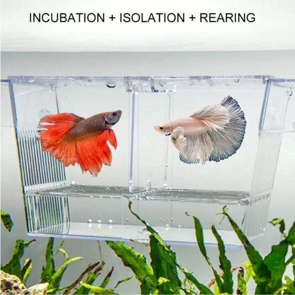 Breeding Box Hatchery 19.5x9.9x9.9cm