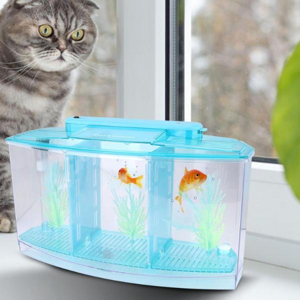 Isolation Acrylic Small Aquarium with 2 Color Lighting