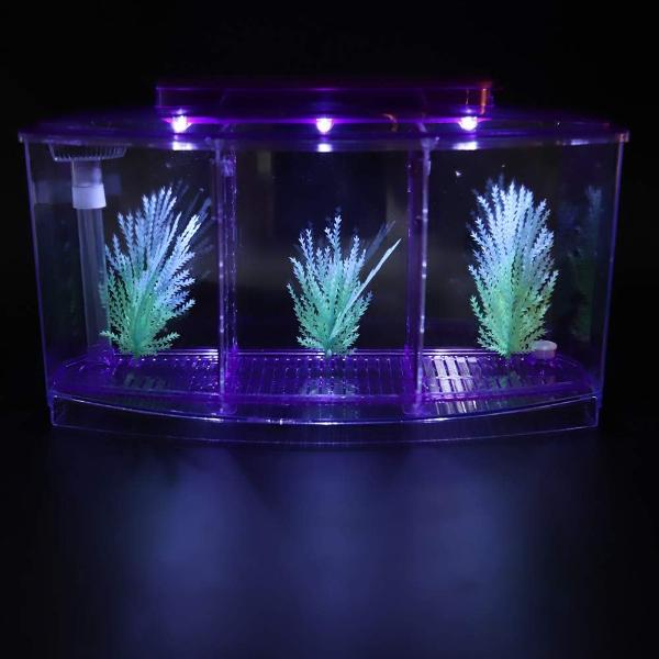 Isolation Acrylic Small Aquarium with 2 Color Lighting