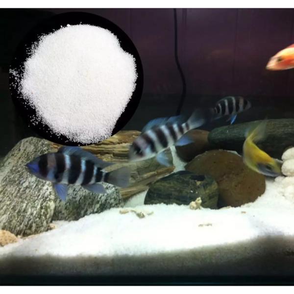 Premium Aquarium Sand White 1 KG