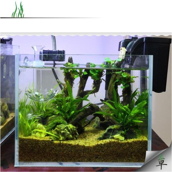 Acrylic Shrimp Feeding Tube (4 Sizes)