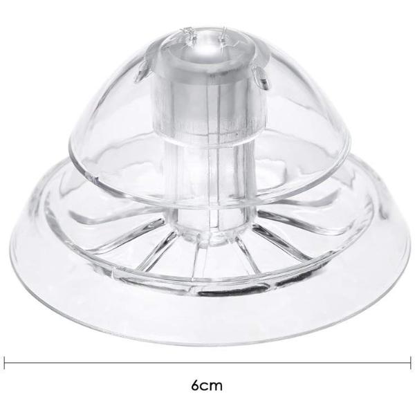 Clear Snail Trap for Planarian Leech