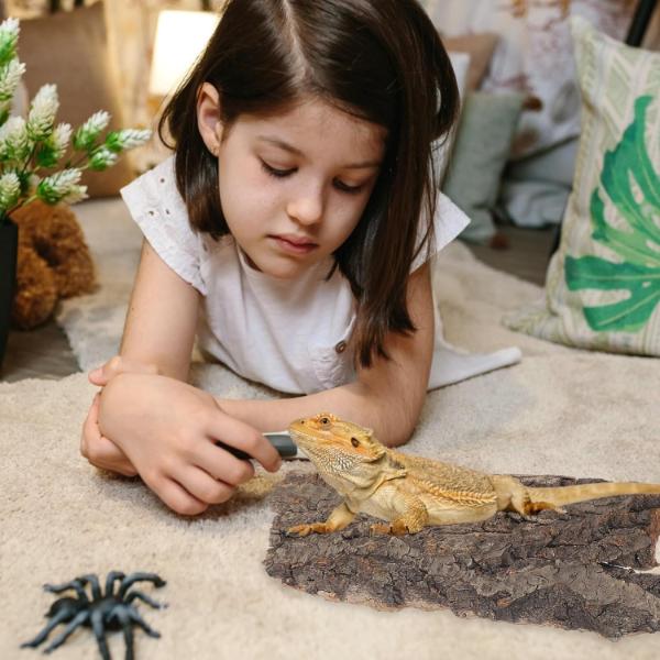 B&K Reptile Bark Gecko Backdrop Wooden Driftwood