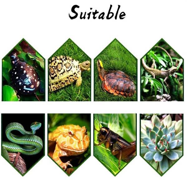 Vermiculite Casing Substrate for All Types of Reptiles
